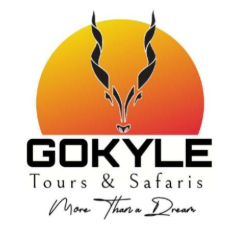 GoKyle Tours & Safaris